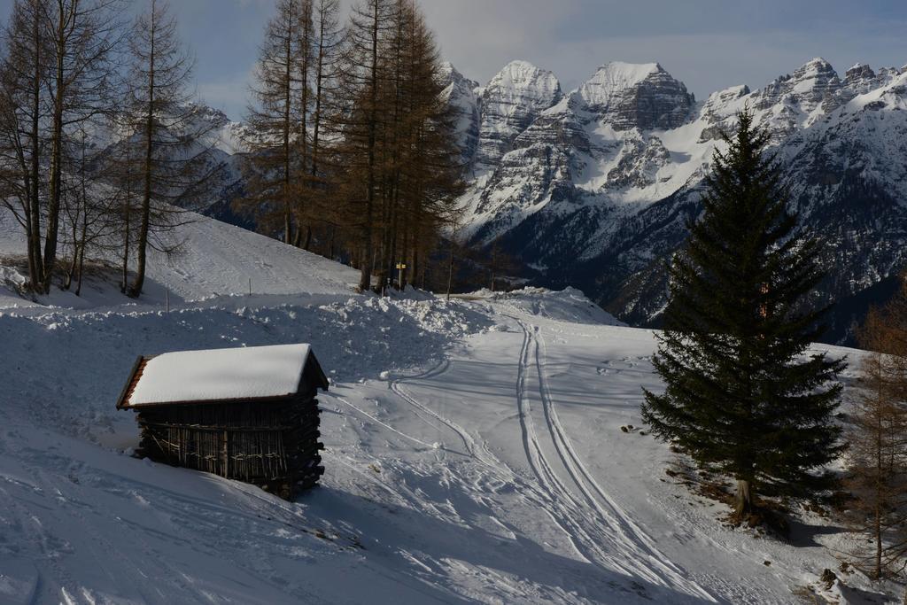 Haus Elisabeth Bed and Breakfast Neustift im Stubaital Buitenkant foto