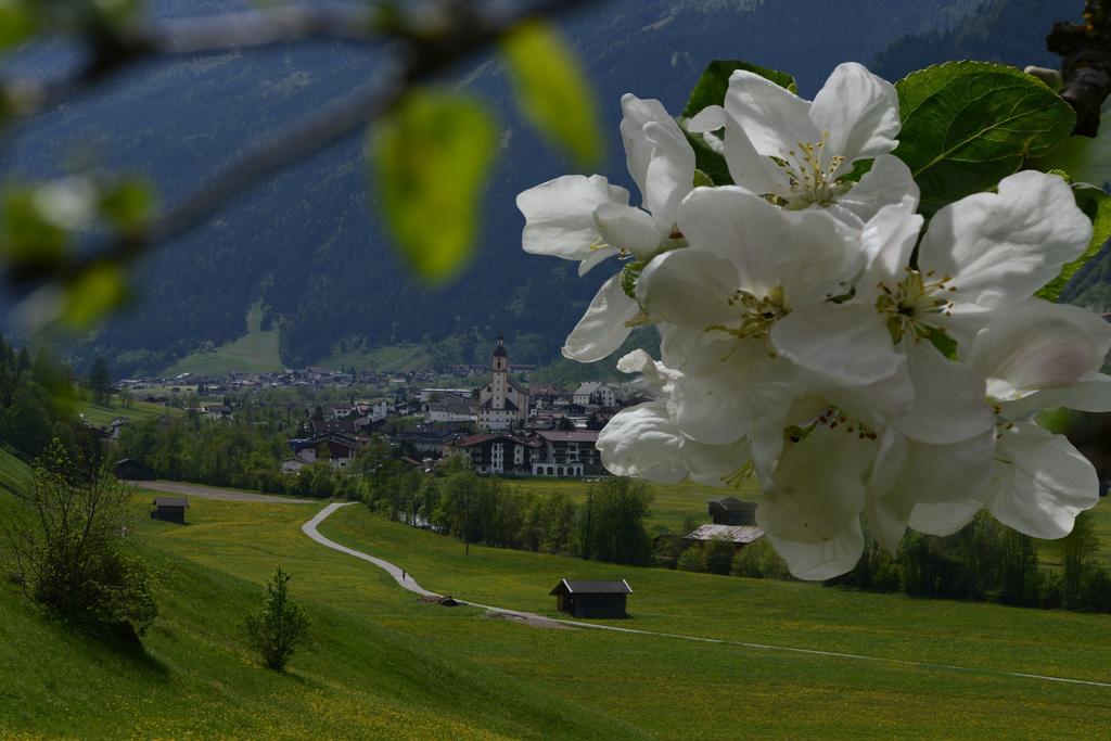 Haus Elisabeth Bed and Breakfast Neustift im Stubaital Buitenkant foto