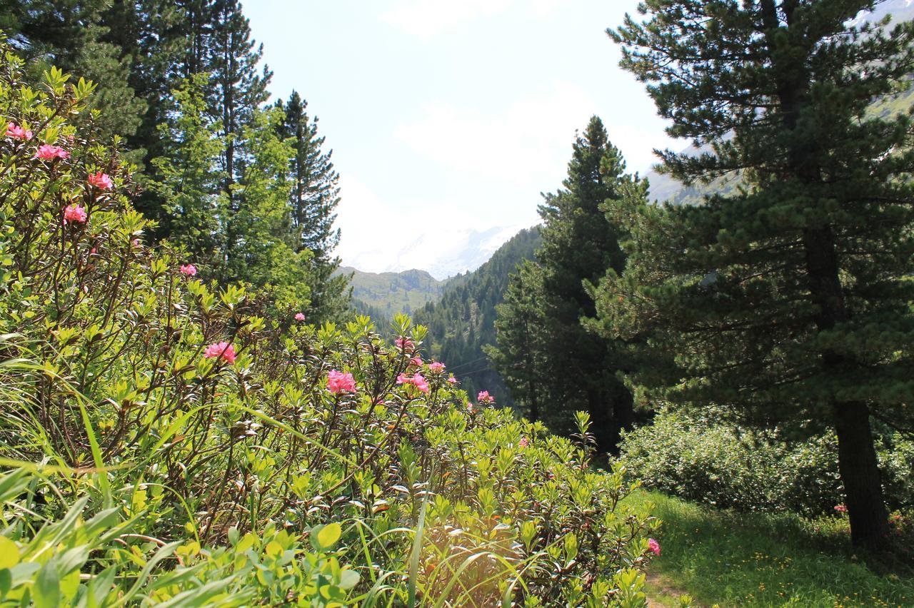 Haus Elisabeth Bed and Breakfast Neustift im Stubaital Buitenkant foto